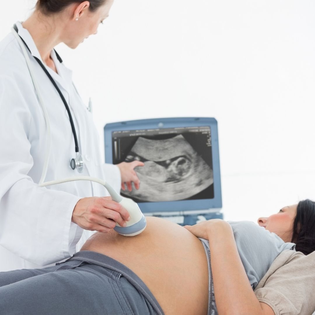Second and Third Trimester Ultrasound ( 14-42 weeks)