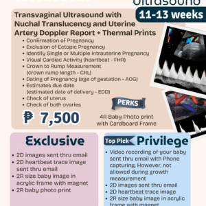 Transvaginal (TVS) + Nuchal Translucency + Uterine Doppler Ultrasound